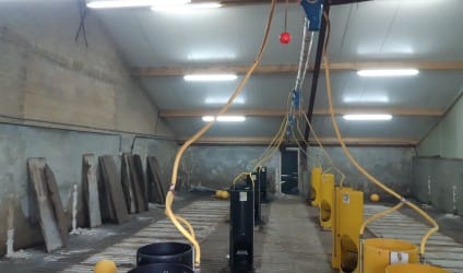 DIENST - bedrading vervangen